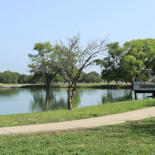 Bradfield Park pond