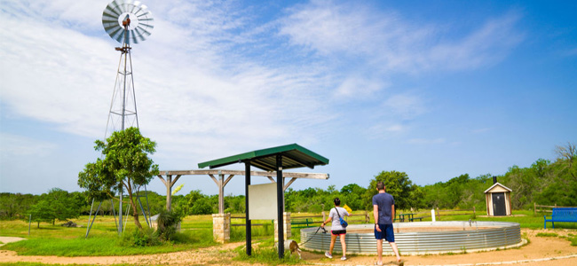 Couple walking dog in a park with windmill in background