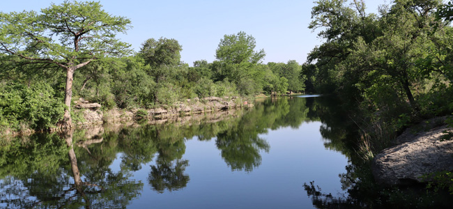 Creek with trees at John D. and Byrd Mims Garison Memorial Park