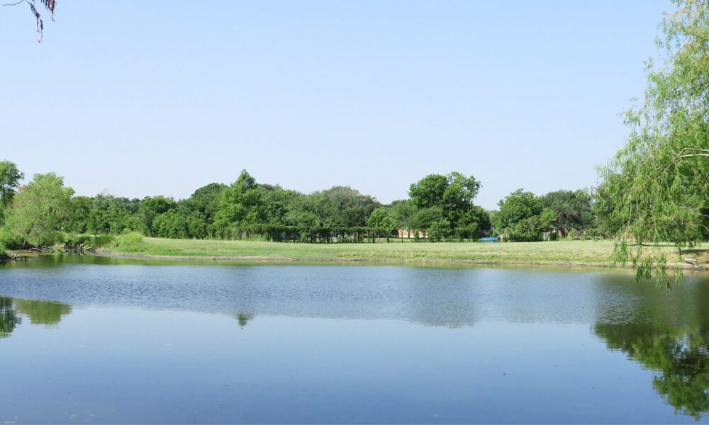 Bradfield Village Park pond with trees in background